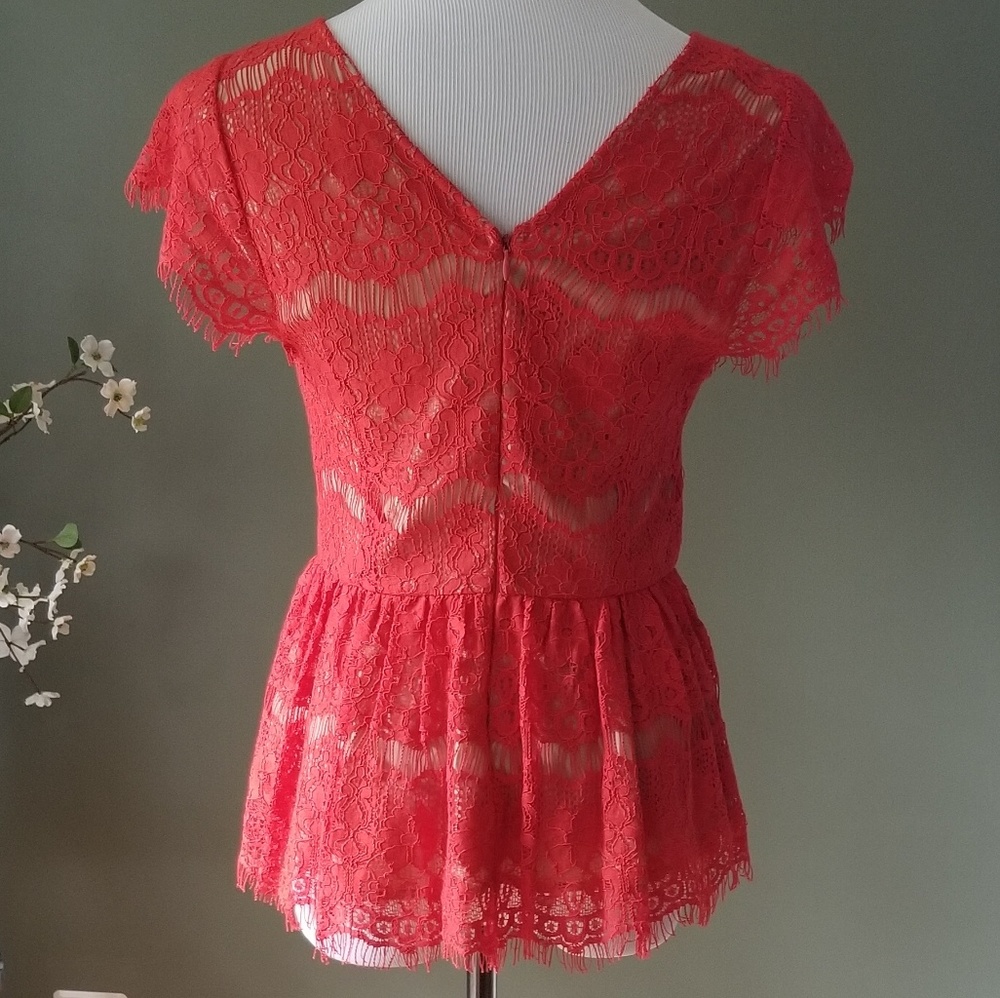Anthropologie Katrina Lace peplum top - Picture 5 of 8